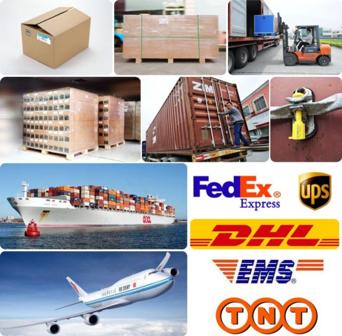 DE08 D1146 エグババターバストラック用シリンダーヘッドガスケット 65.03901-0070 400603-00119 65.03901-0058 18