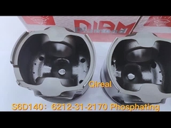 6212-31-2170 リン酸化